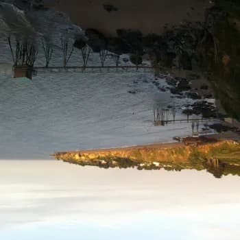 Profil de Axelle, 24 ans, Escort à Oberwil im Simmental (Berne)