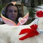 Profil de Manelle, 27 ans, Escort à Brülisau (Appenzell Rhodes-Intérieures)